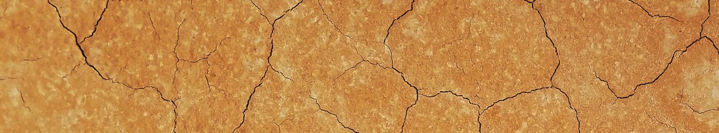 Khoa Giáo dục Mầm non – Trường Đại học Sài Gòn